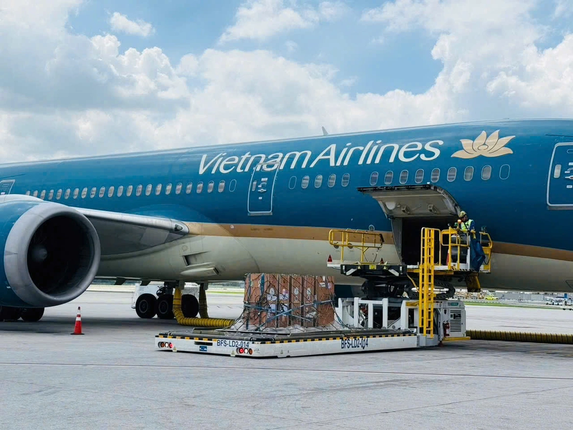 Vietnam Airlines vận chuyển sếu đầu đỏ